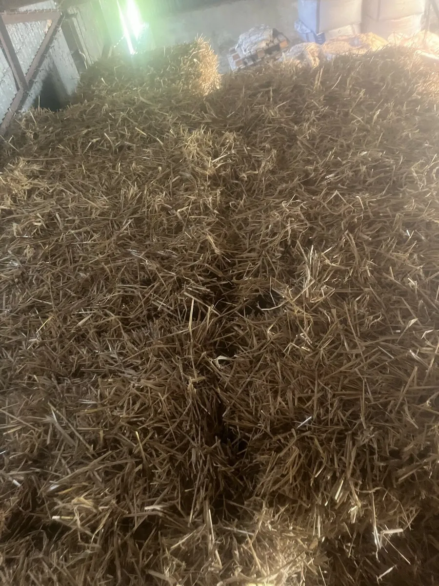 Small square straw bales - Image 2
