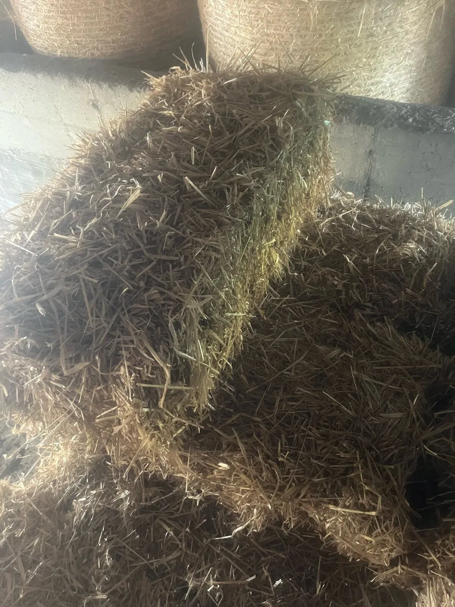 Small square straw bales - Image 3
