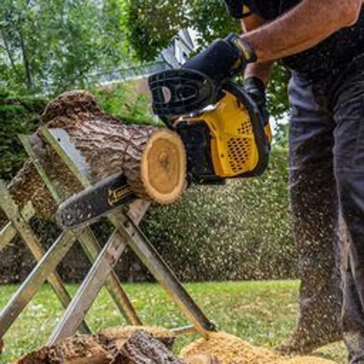 chainsaws - Image 2