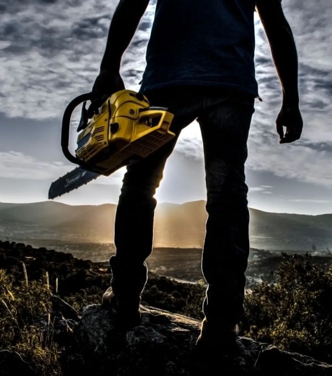 chainsaws - Image 3