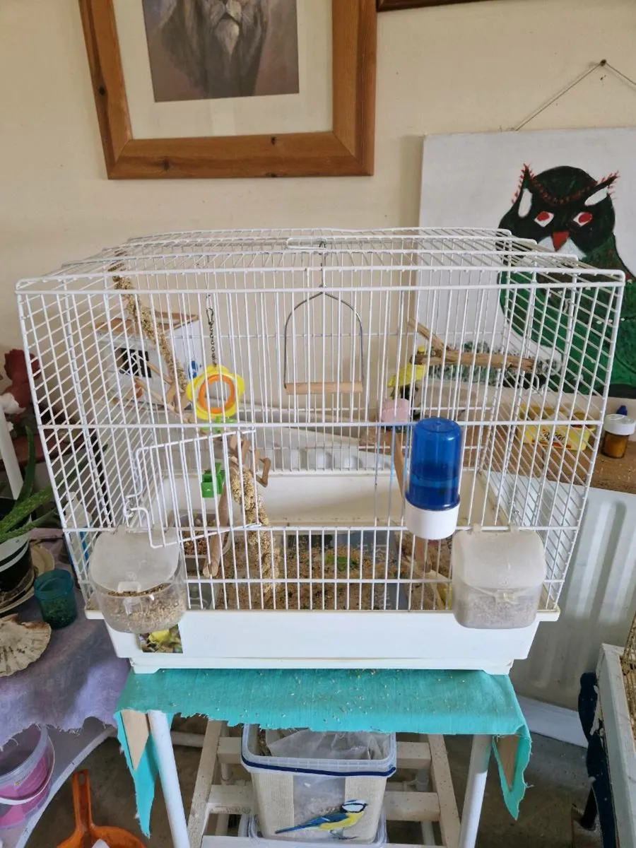 Bird cage - Image 1