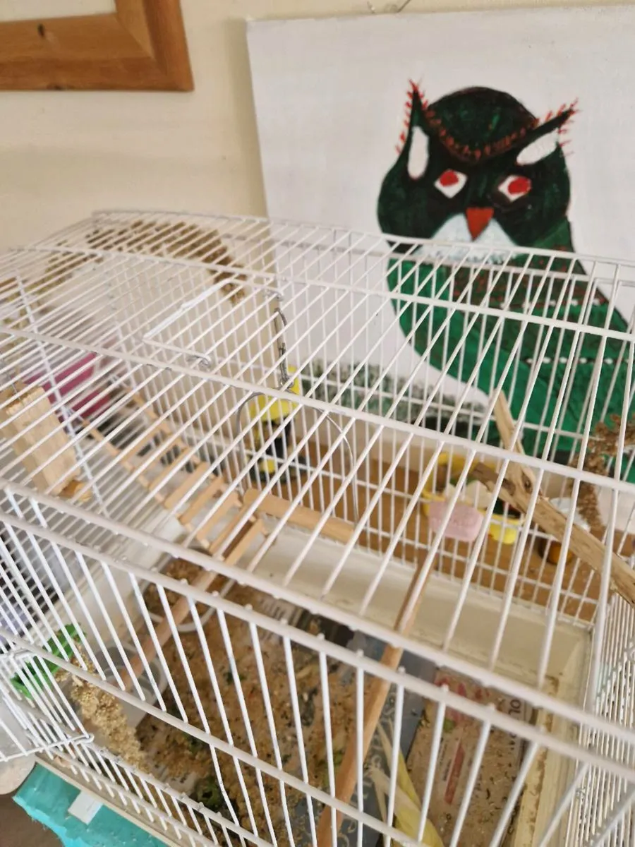 Bird cage - Image 2