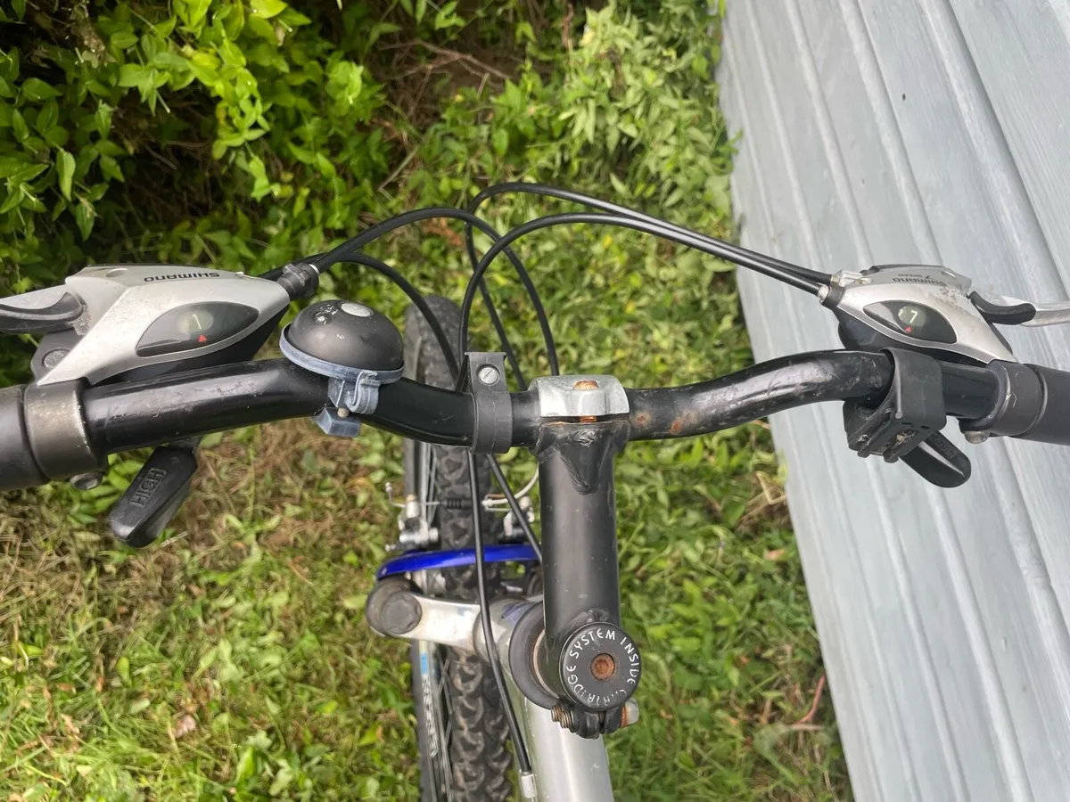 Goldrush bike - Image 3