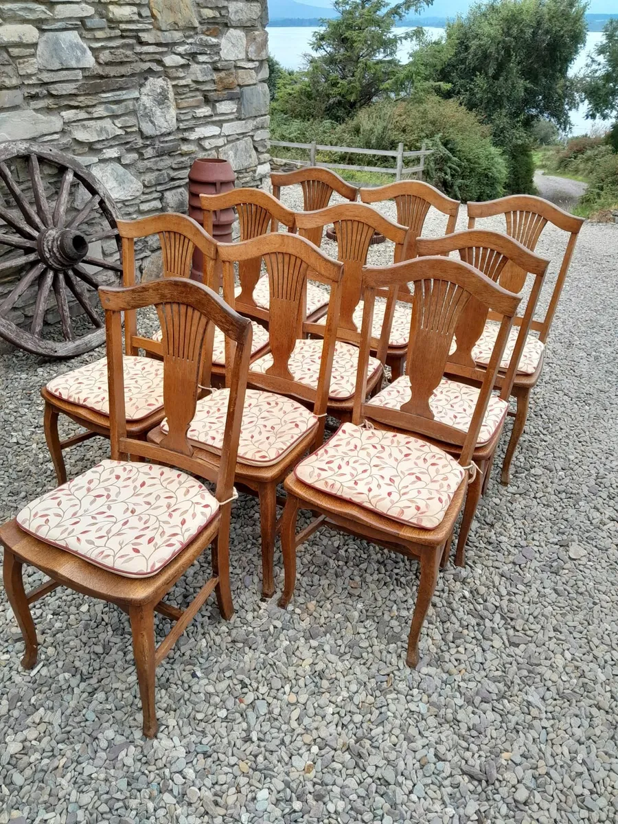 Oak Dining Chairs x 10