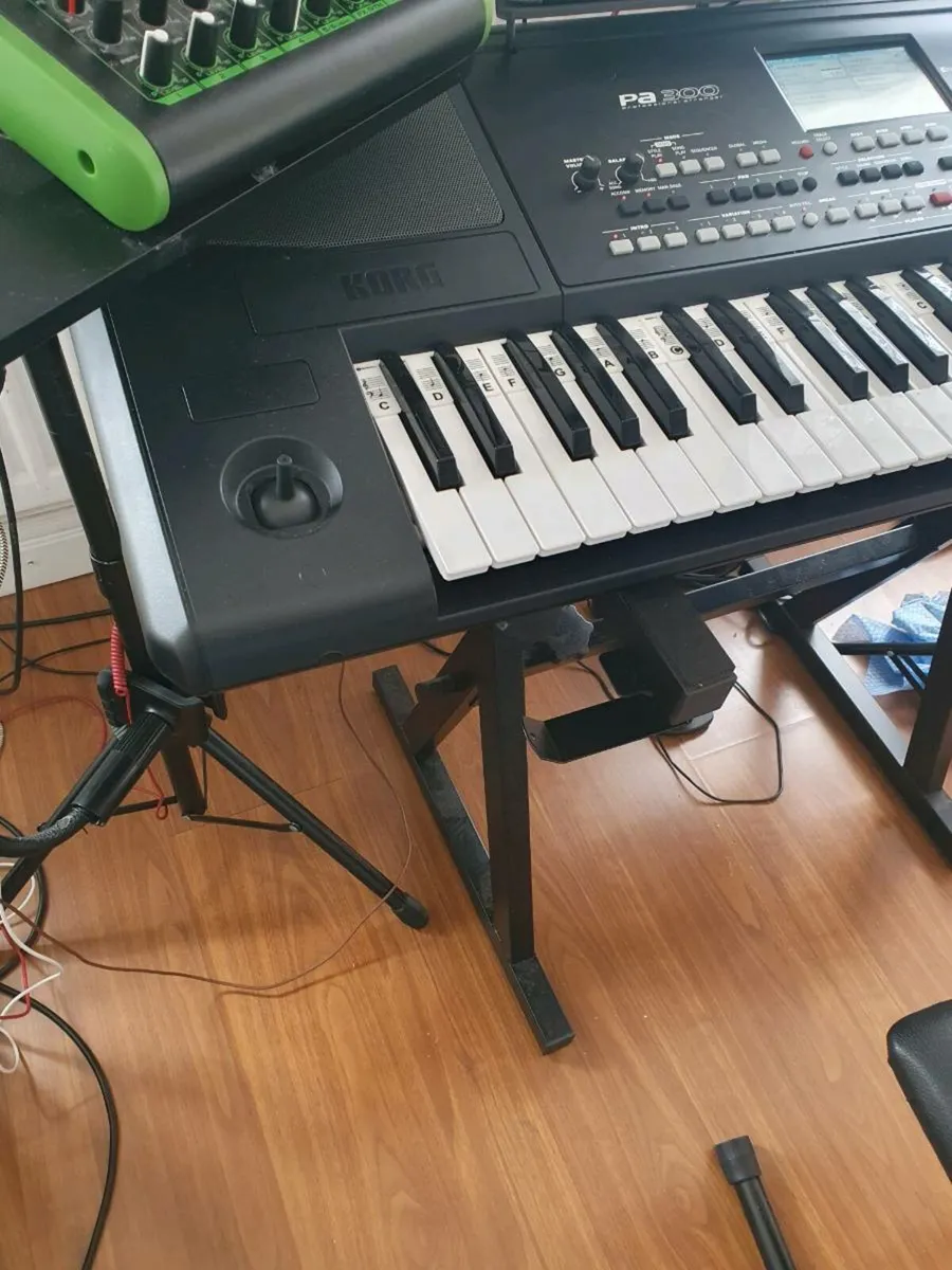 Korg pa300. - Image 1