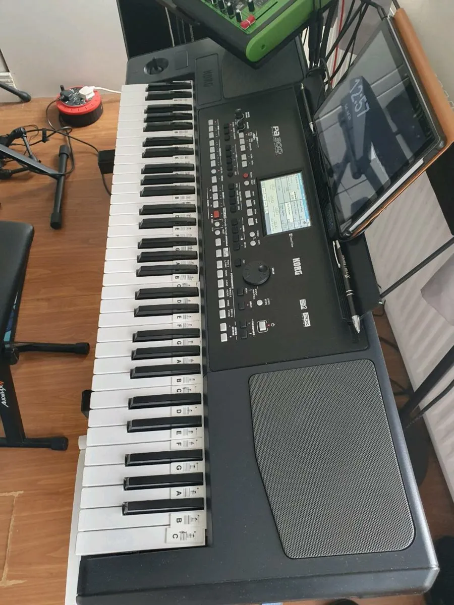 Korg pa300. - Image 2