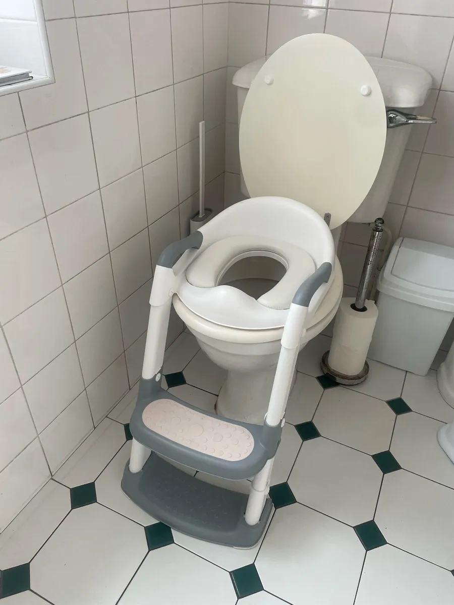 Toilet training steps - Image 1