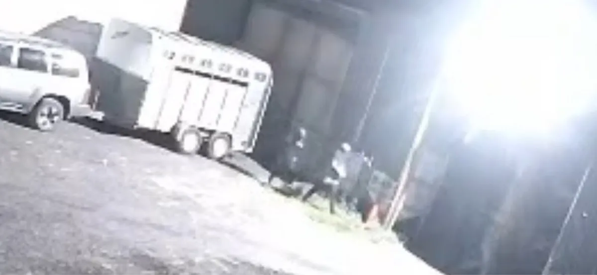 Stolen Ifor Williams - Image 2