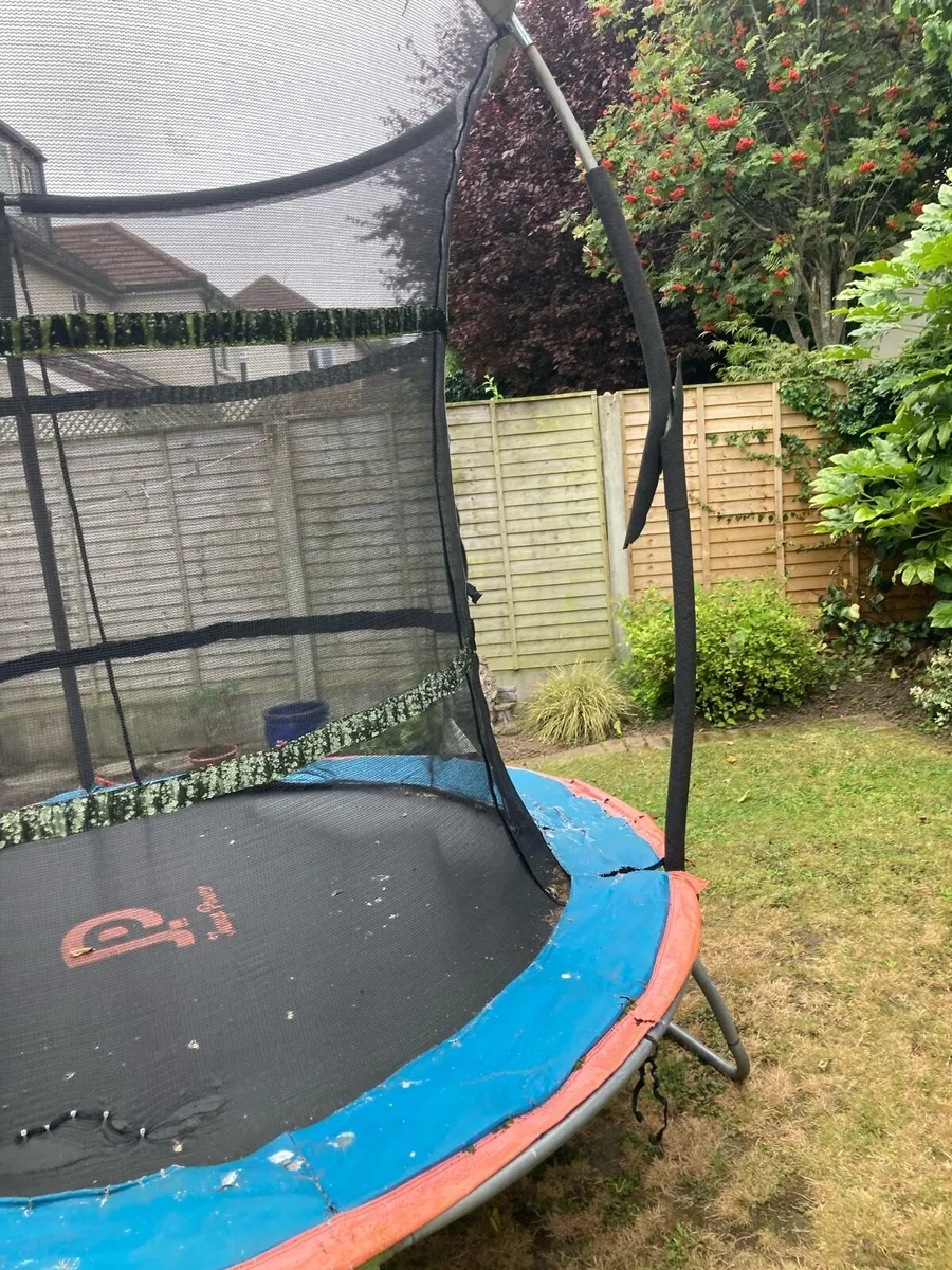 Trampoline - Image 4
