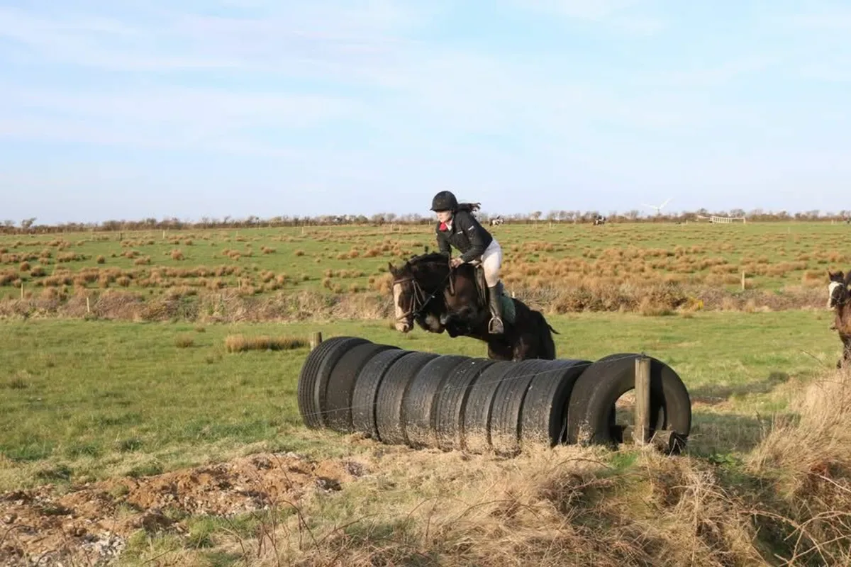 Smashing 13.2hh Jumping Cob - Image 4