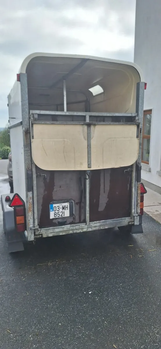 Indespension Horsebox with Side  Ramp & Tack Area - Image 2
