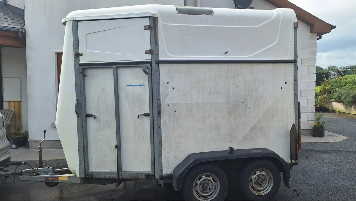 Indespension Horsebox with Side  Ramp & Tack Area - Image 3