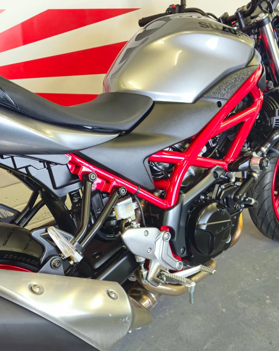 2019 Suzuki SV650 Gladius - Image 4