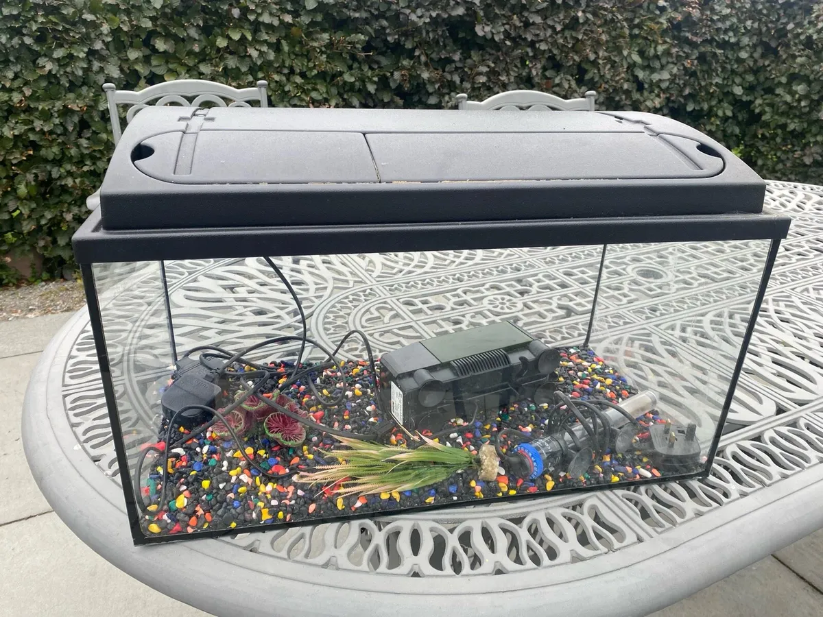 Fish Tank / Aquarium - Image 1