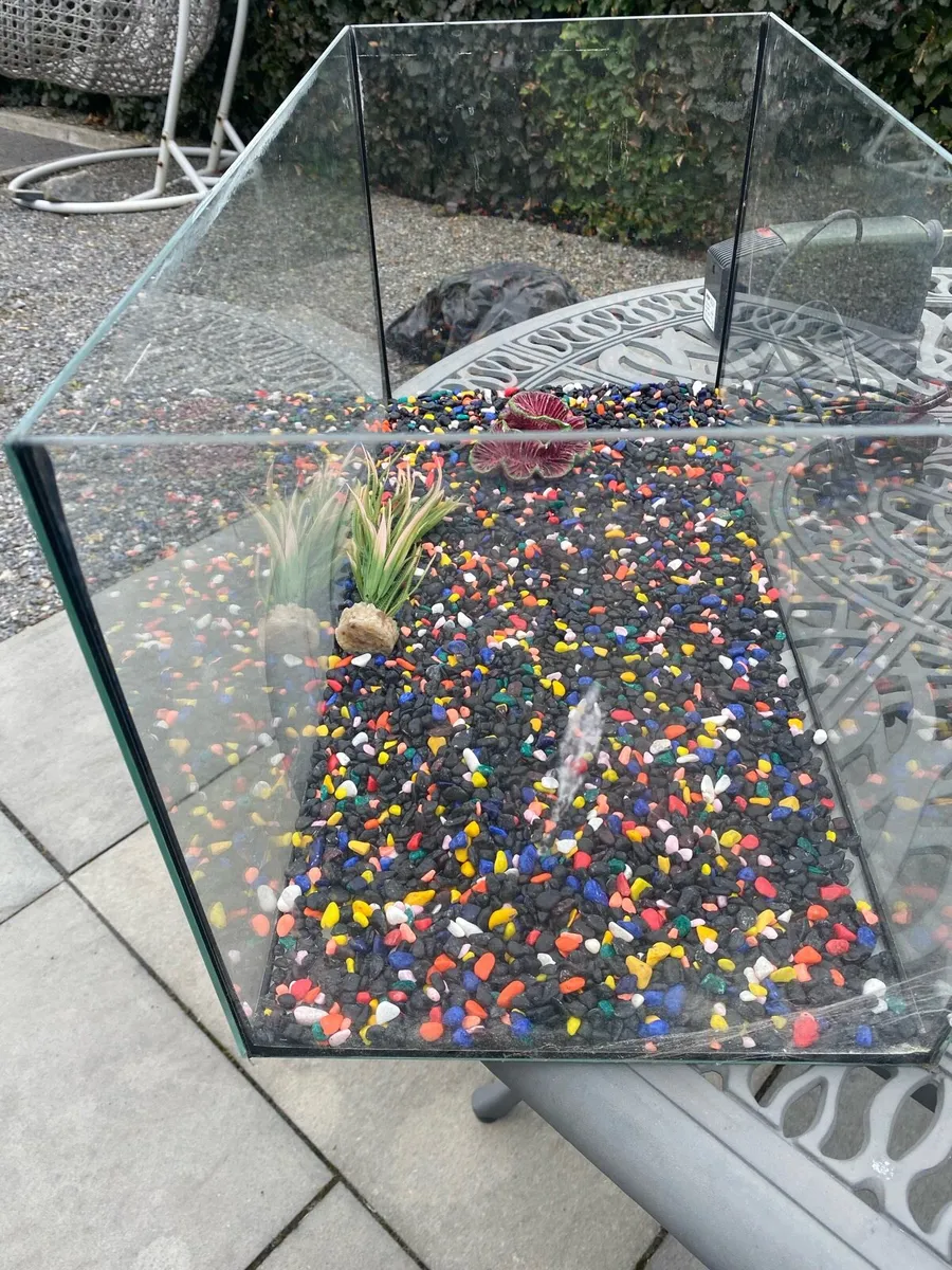Fish Tank / Aquarium - Image 2