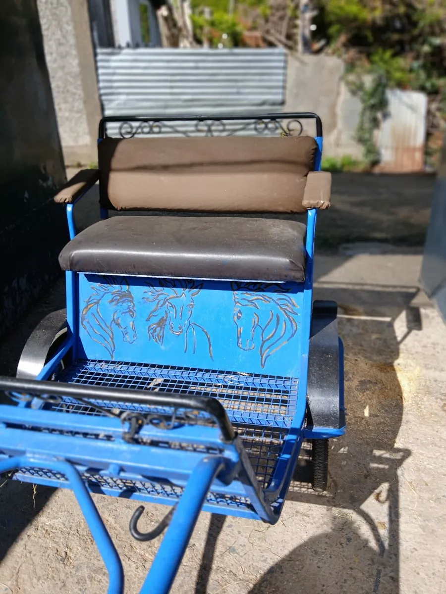 Cart and harness for sale - Image 1
