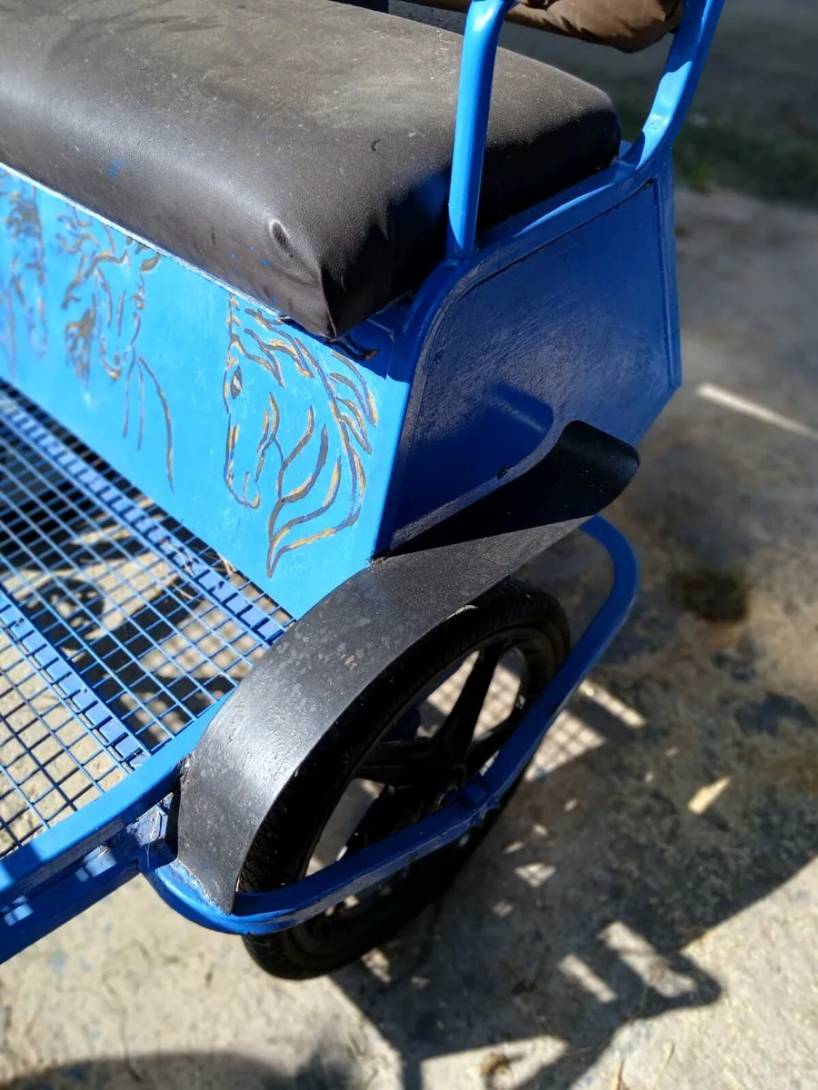 Cart and harness for sale - Image 3