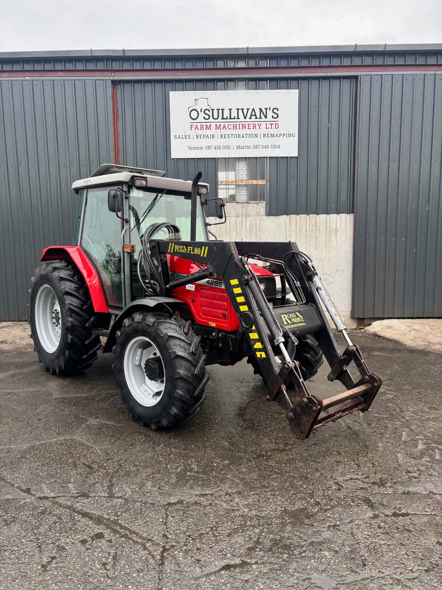 Massey Ferguson 4255 - Image 1
