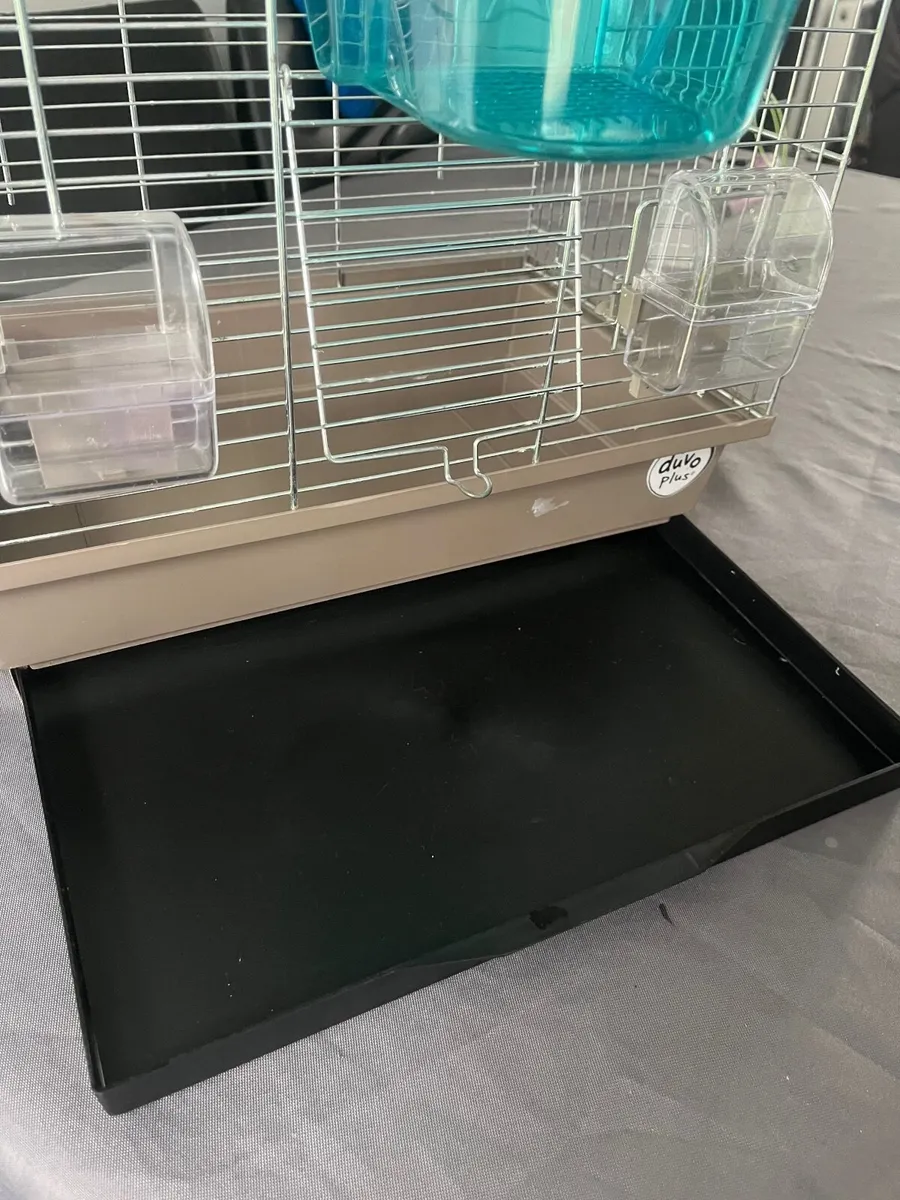 Bird Cage - Image 1