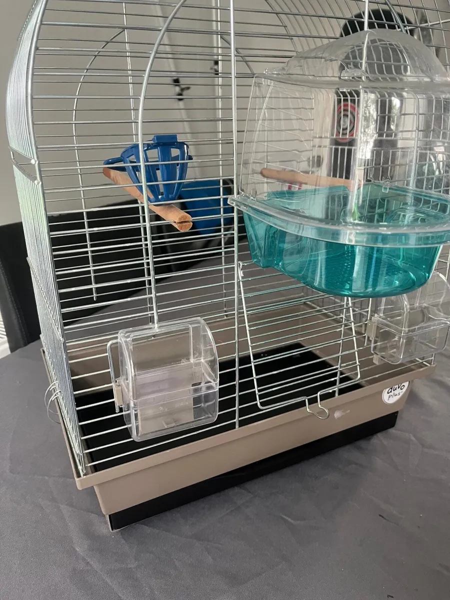 Bird Cage - Image 2