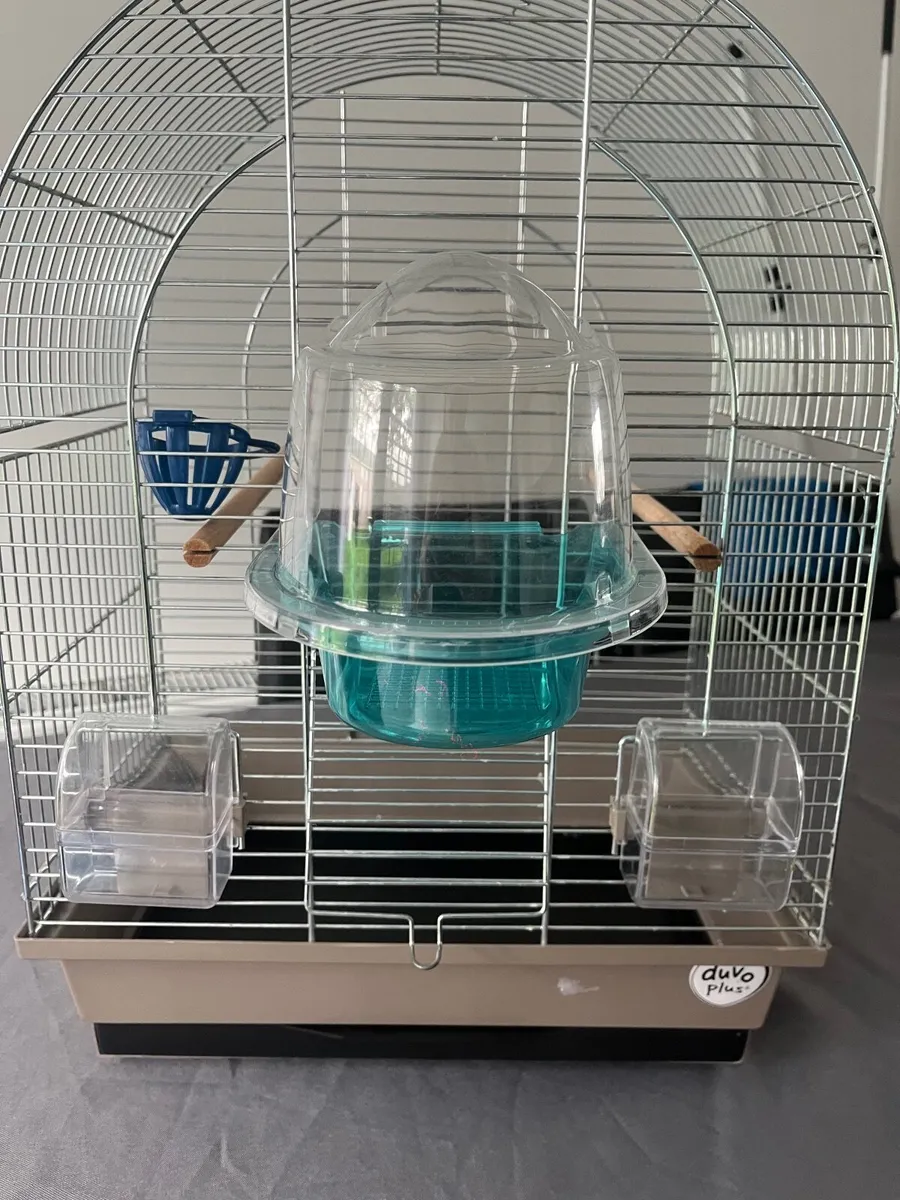 Bird Cage - Image 3