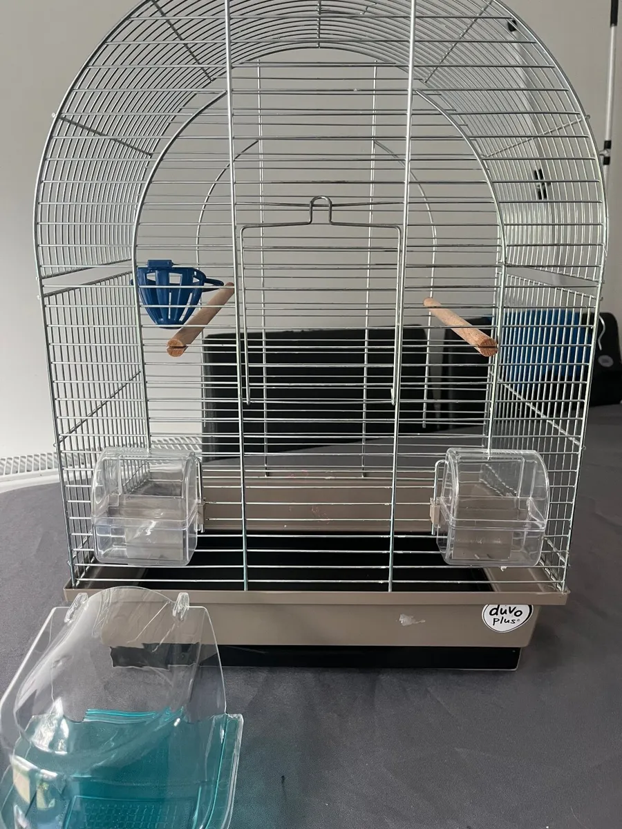 Bird Cage - Image 4