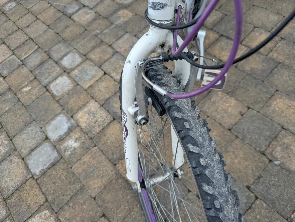 Raleigh girls Bicycle 24" aged 8-10 - Image 2