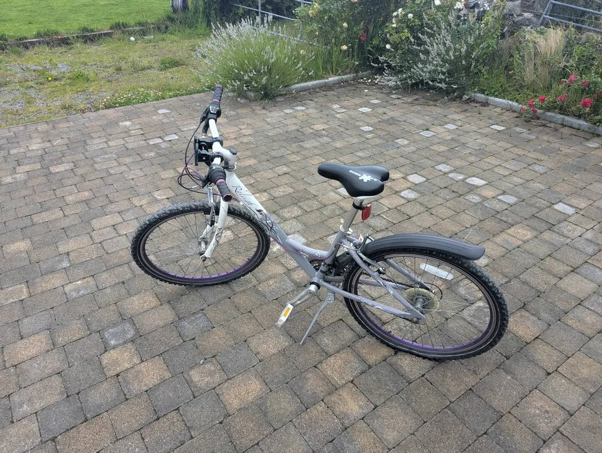 Raleigh girls Bicycle 24" aged 8-10 - Image 1