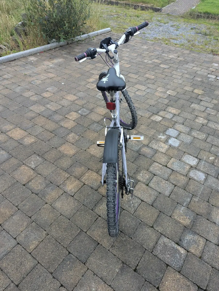 Raleigh girls Bicycle 24" aged 8-10 - Image 3
