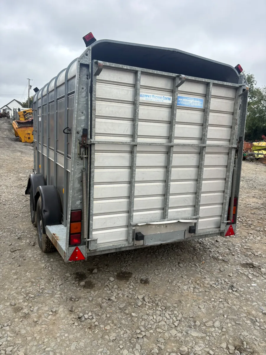 Ifor Williams 12ft cattle trailer - Image 2