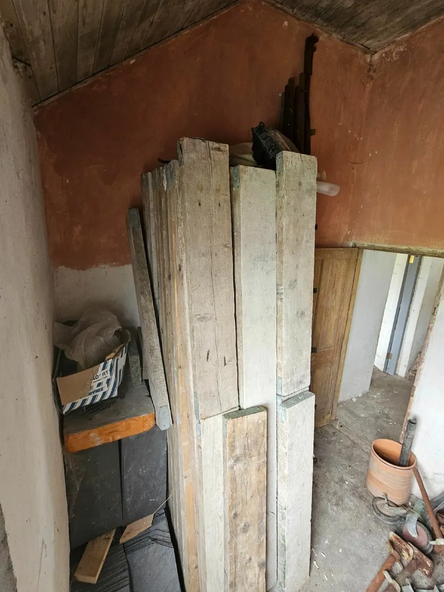 Scaffold - Image 1