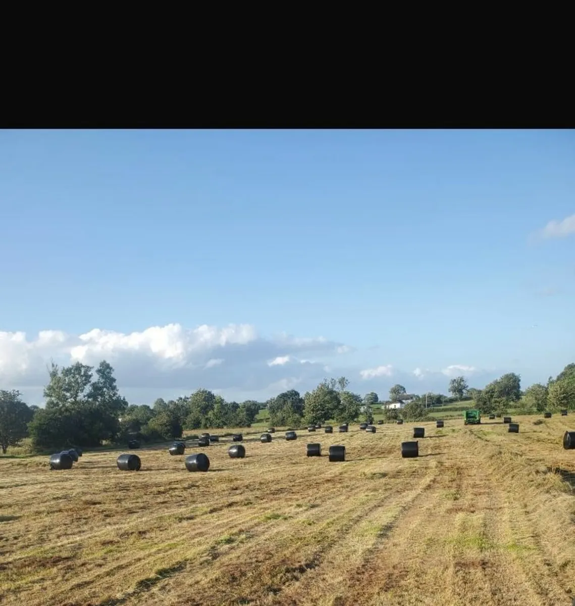Haylage for sale €18 - Image 2