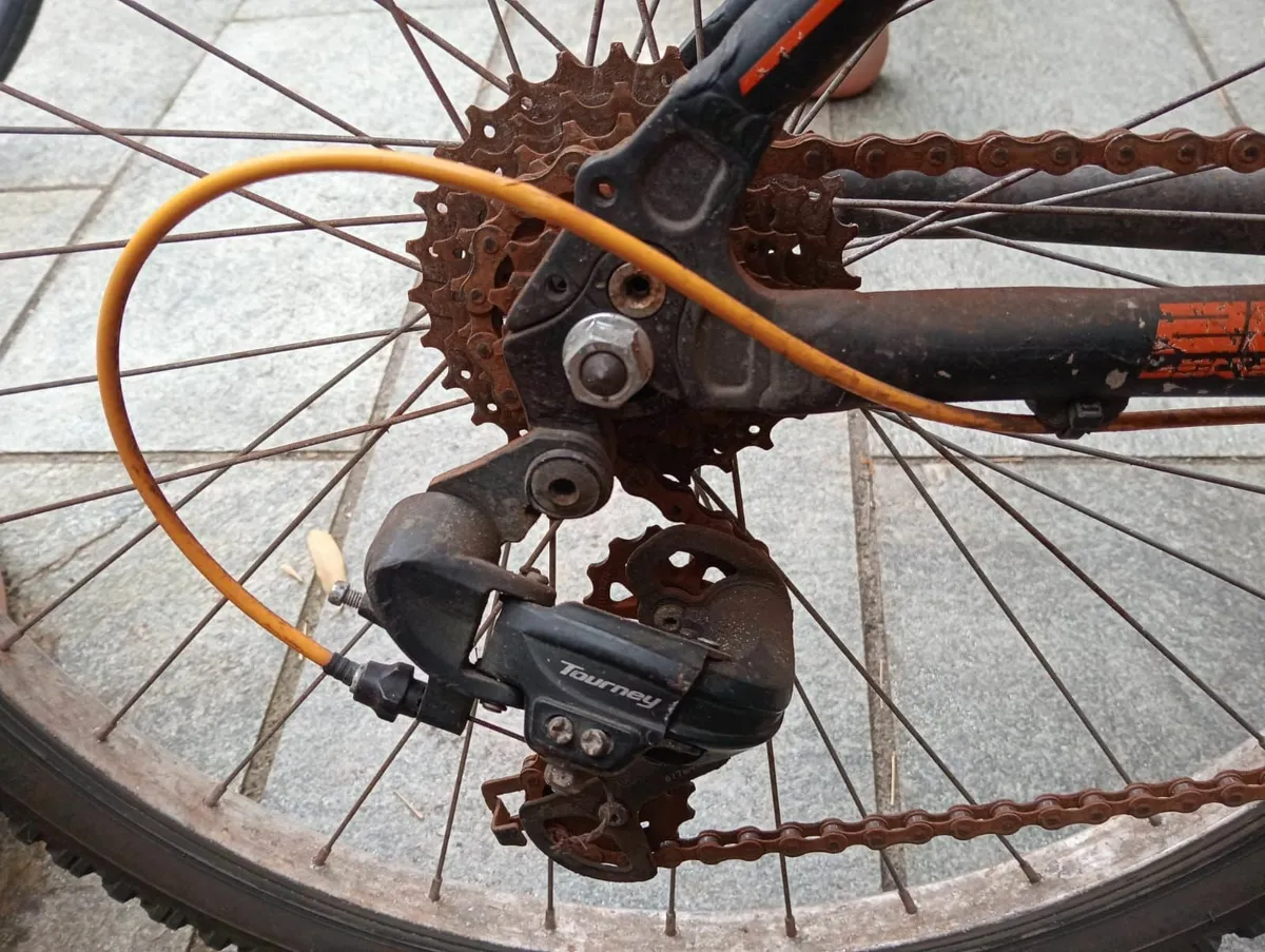 Child/Young Teen Bicycle - Image 3