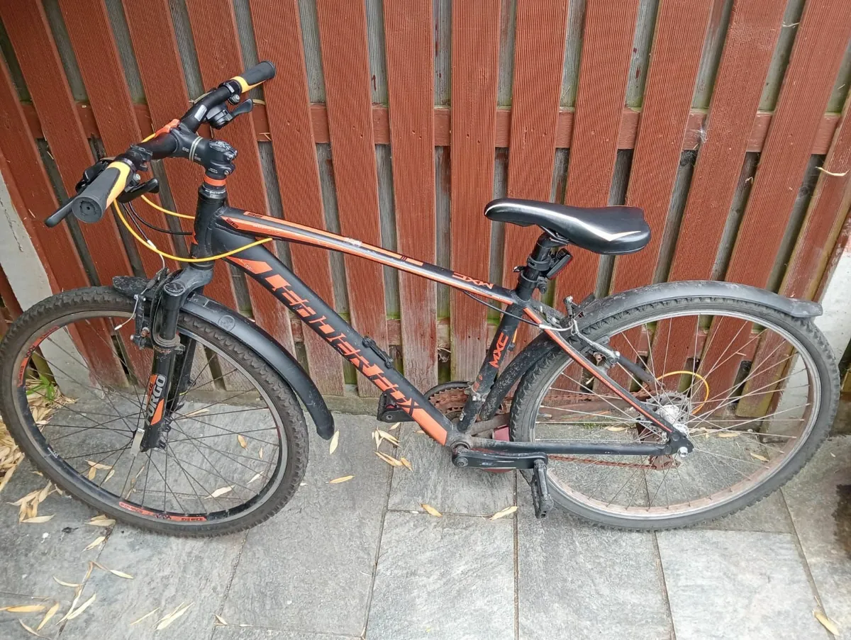 Child/Young Teen Bicycle - Image 1