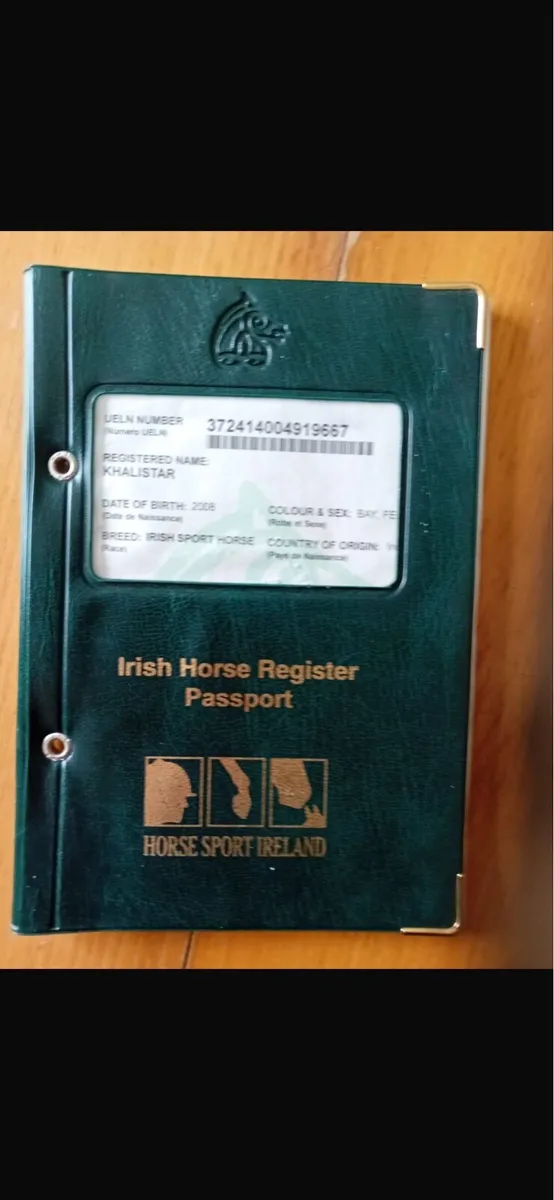 Broodmare - Image 4
