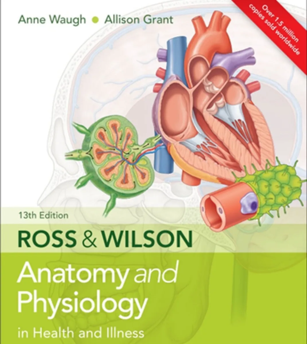Nursing Books - Image 3