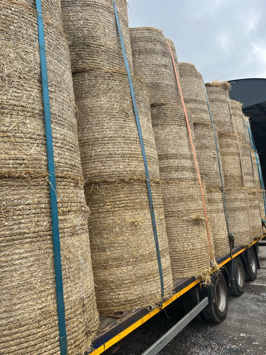 Top Quality Barley Straw - Image 3