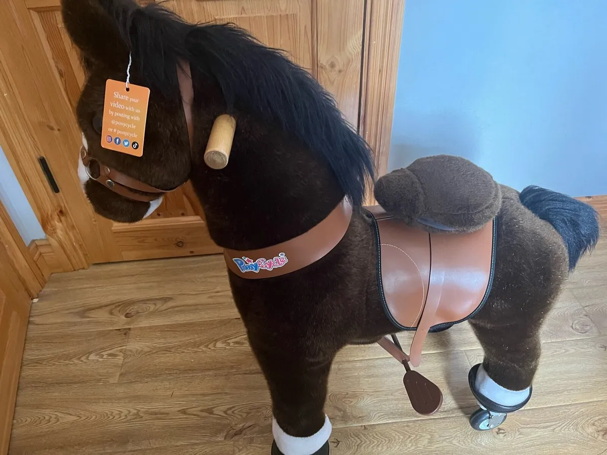 Pony cycle - Image 1