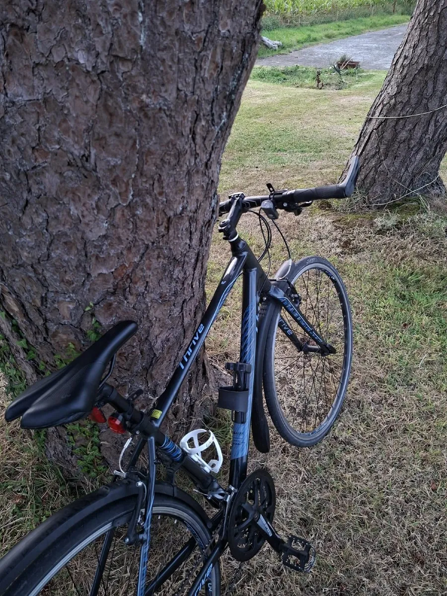 Liv Thrive 3 2018 bike 18 inches - Image 2