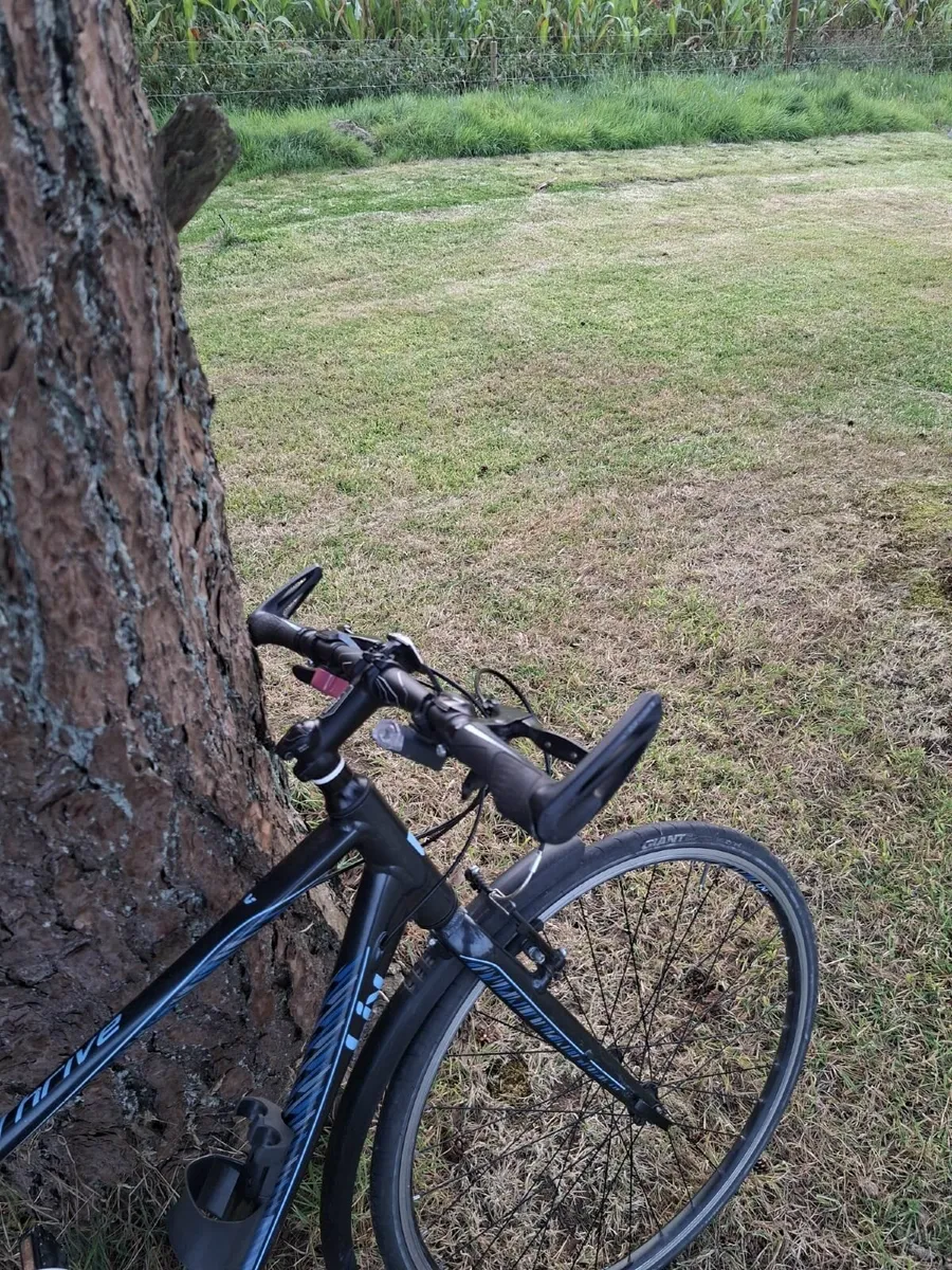 Liv Thrive 3 2018 bike 18 inches - Image 3