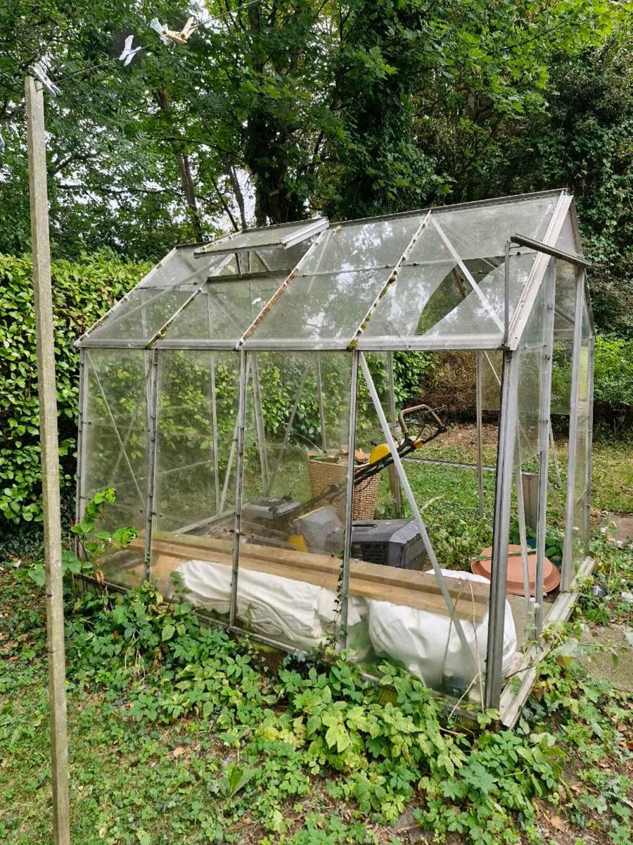 Glasshouse - Image 3