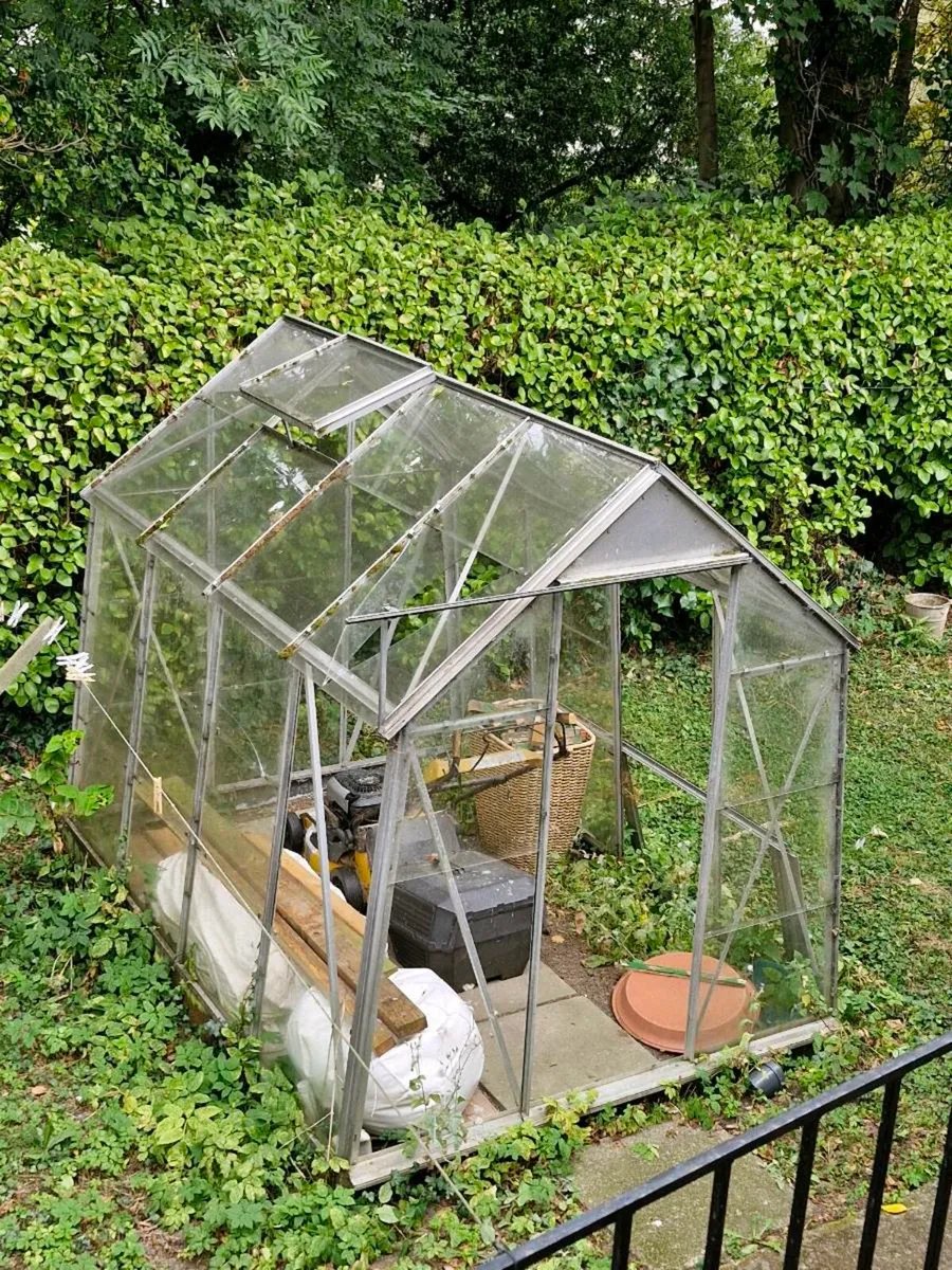 Glasshouse - Image 4