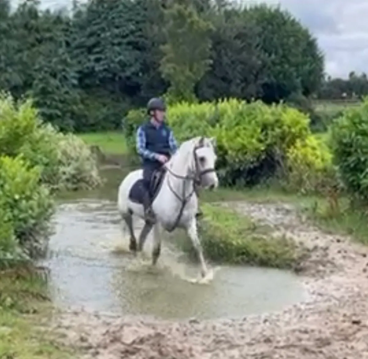 Lot 163 Clifden pony sales Friday 22 August - Image 3