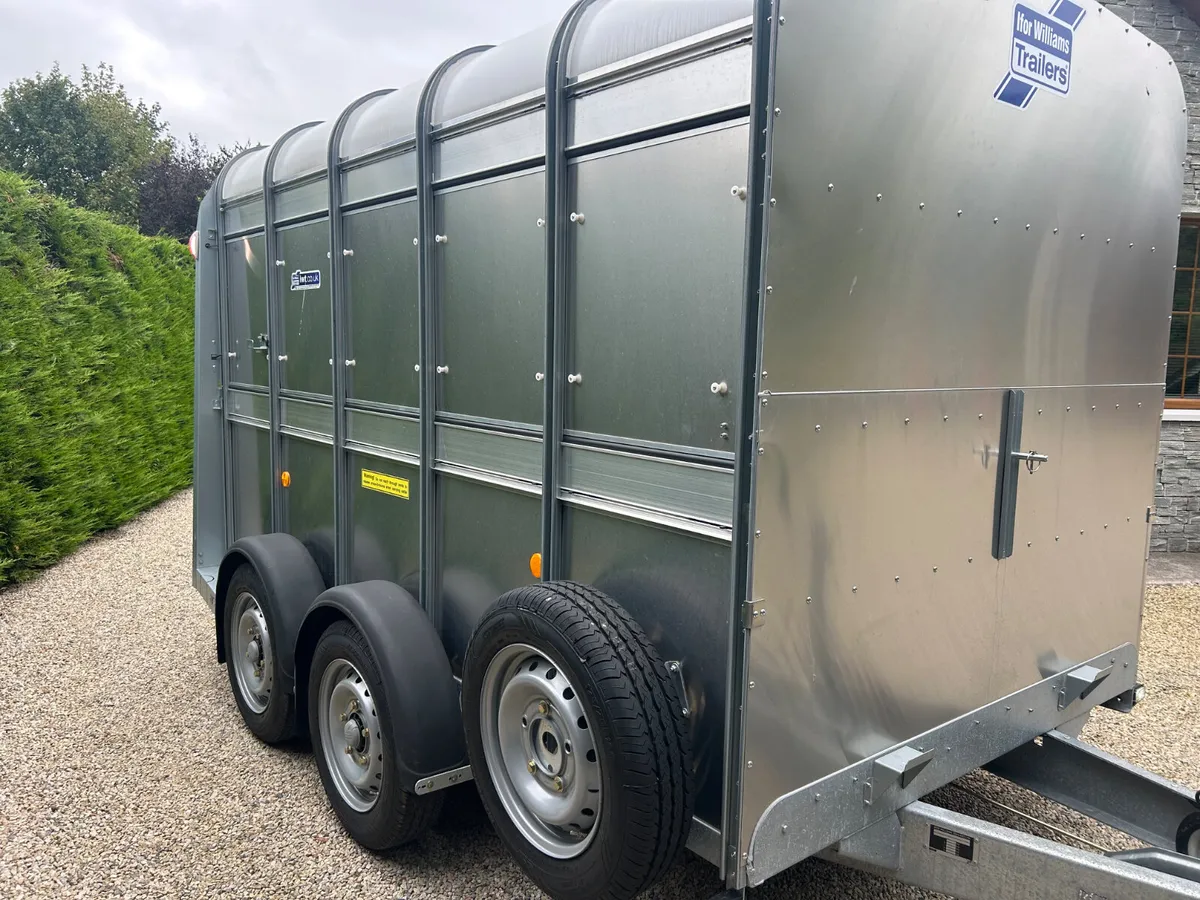 New Ifor Williams 10x6 Ta510 Livestock Trailer - Image 2