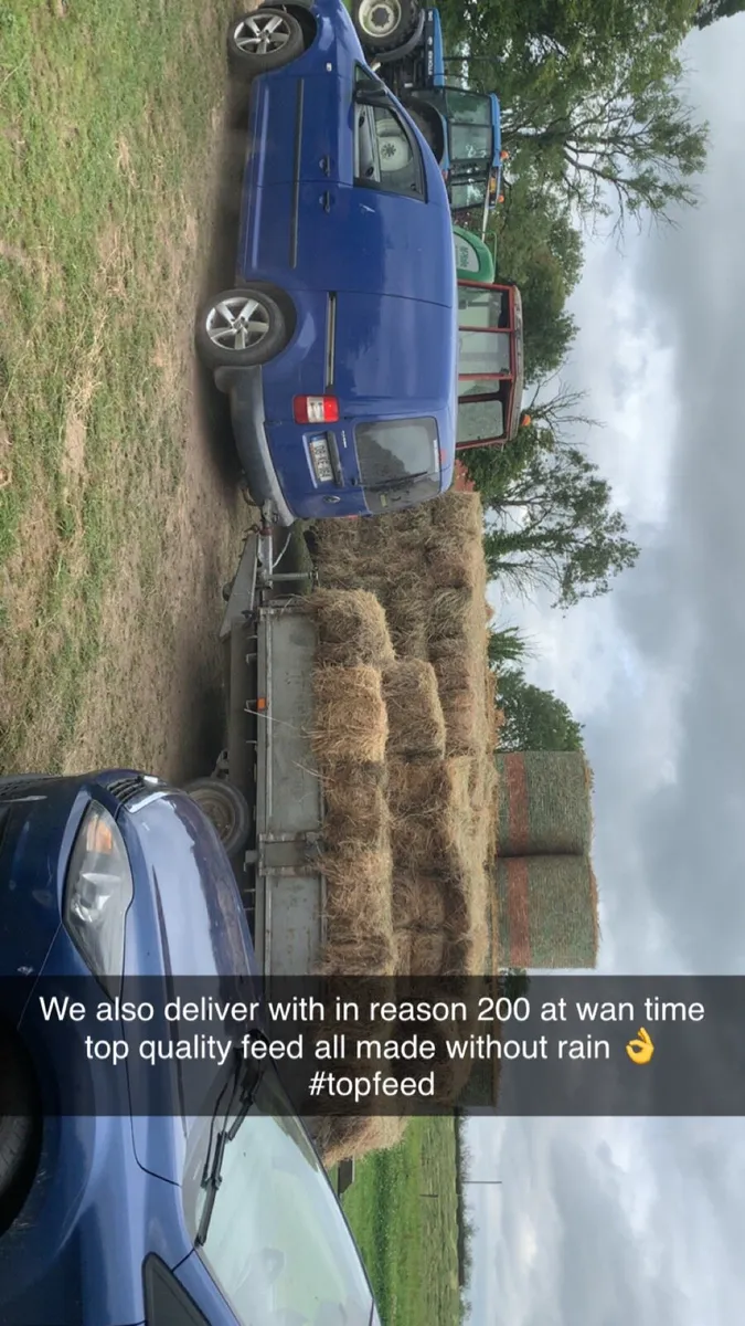 Top quality square bales - Image 2