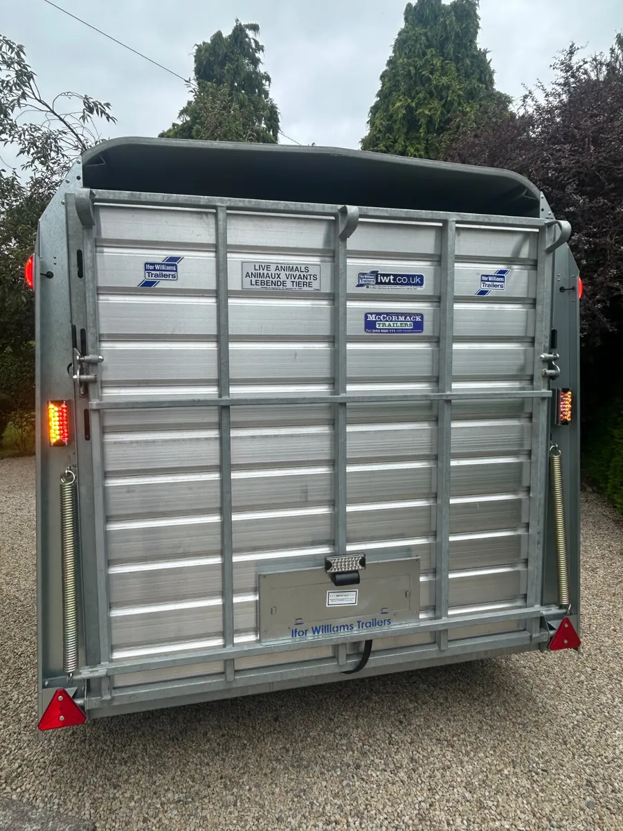 New Ifor Williams 10x6 Livestock Trailer - Image 3