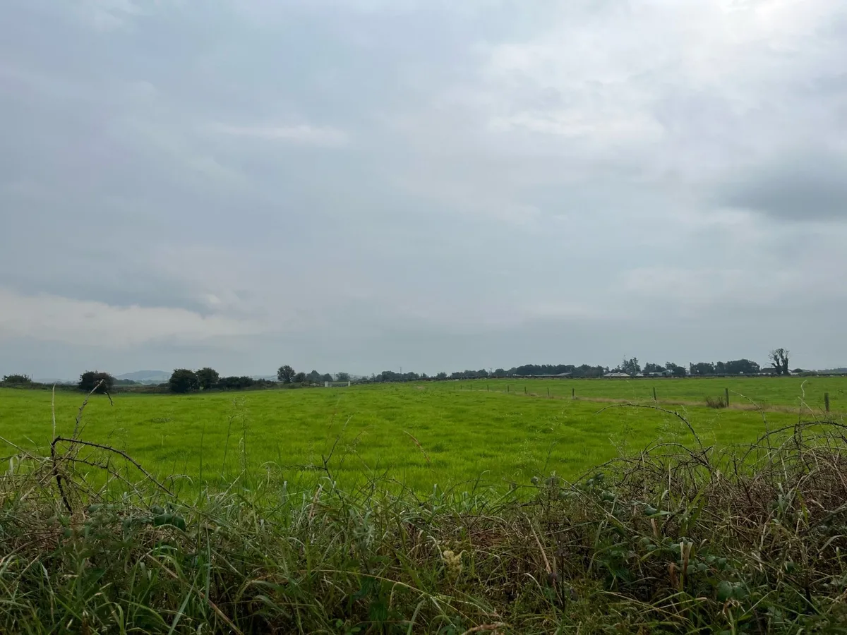 Silage - Image 1