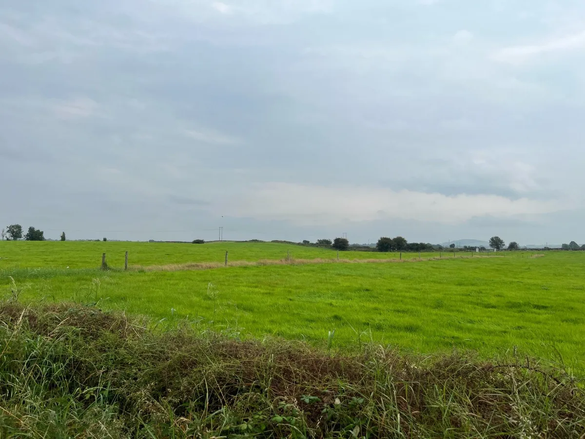 Silage - Image 2