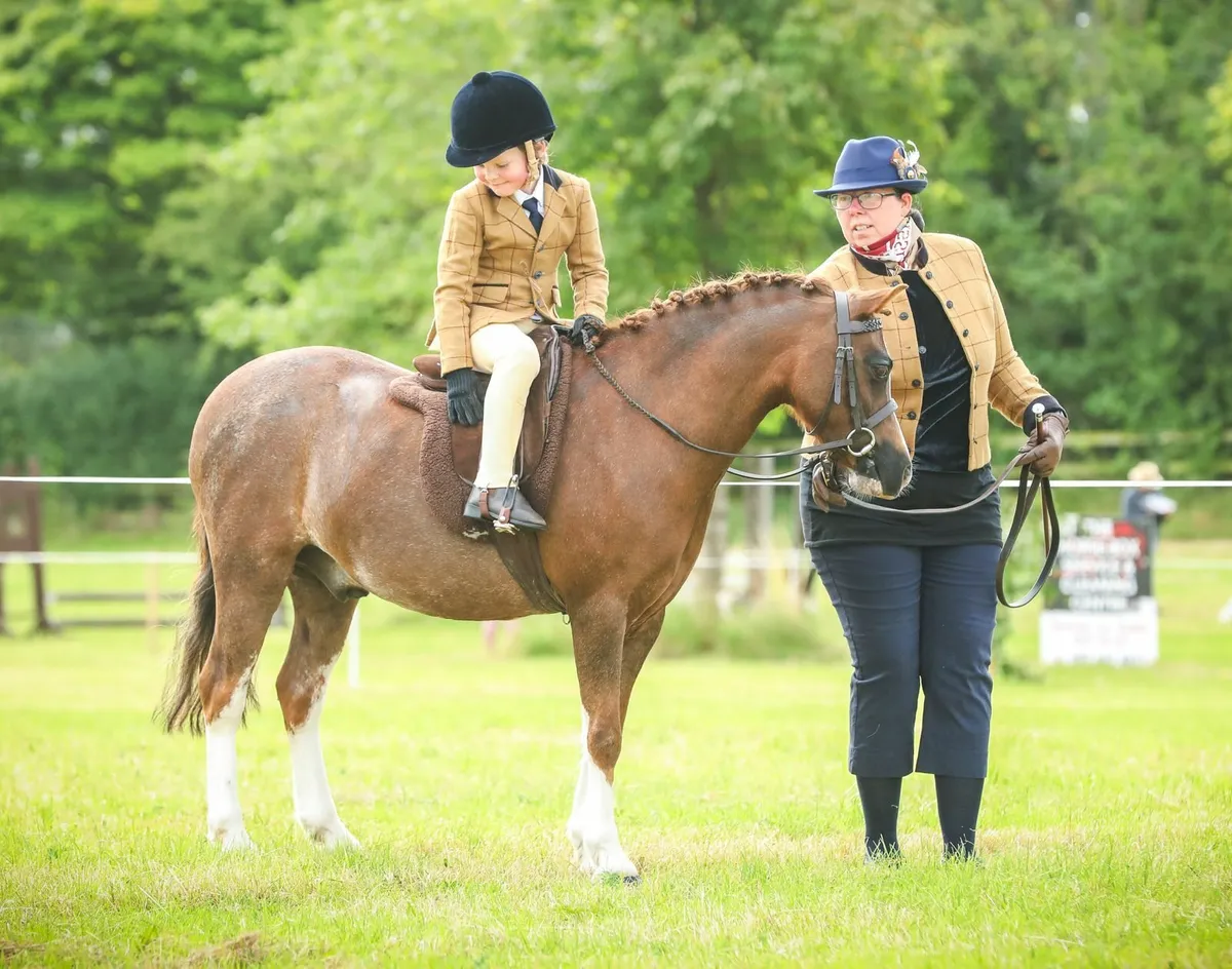Pony - Image 1