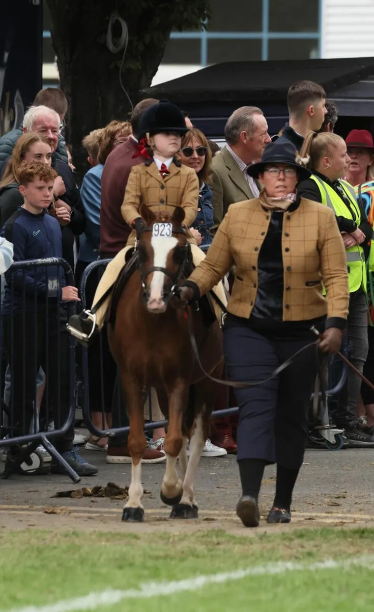 Pony - Image 2